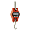 300Kg Mini Crane Scale_0