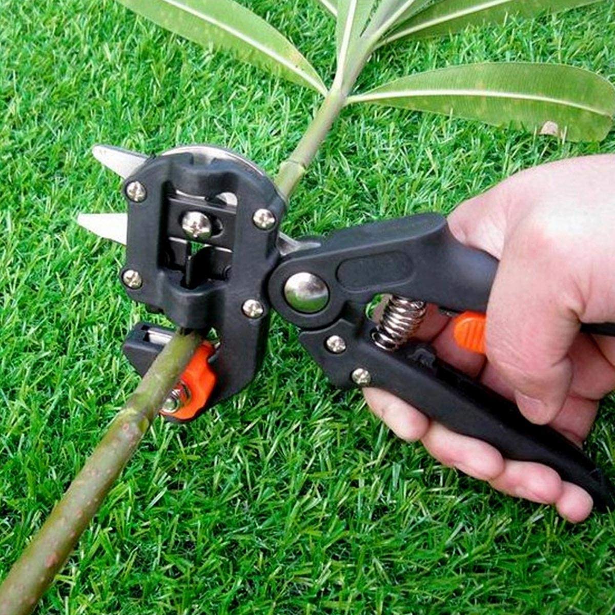 Professional Garden Grafting Cutting Tool Pruner Kit Branch Fruit Tree Cutting_1